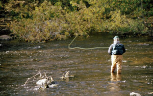 fly fishing trout willowemoc creek