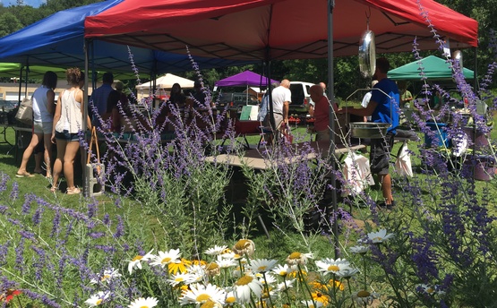 farmers market local 